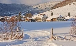Bernau Schwarzwald: Winterwanderweg entlang der Bernauer Alb. Ute Maier