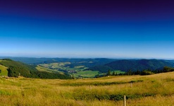 Wiesenlandschaft am Herzogenhorn, dem Hausberg von Bernau und mit 1.415 Metern zweithchster Gipfel im Schwarzwald. Foto: Birgit-Cathrin Duval