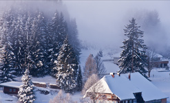 Winterlandschaft in Bernau. Foto: Ute Meier