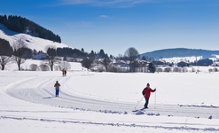 Die Hof-Loipe in Bernau. Sie fhrt vom Ortsteil Hof Richtung Dorf und zurck. Foto: Michael Arndt