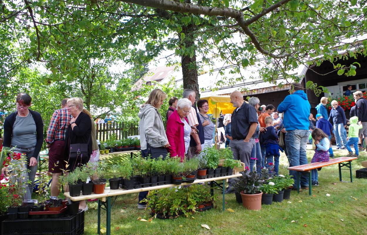 Bernau Naturpark-Markt Pflanzenpracht bei Josef Altmann aus Bernau. Foto: Heike Budig