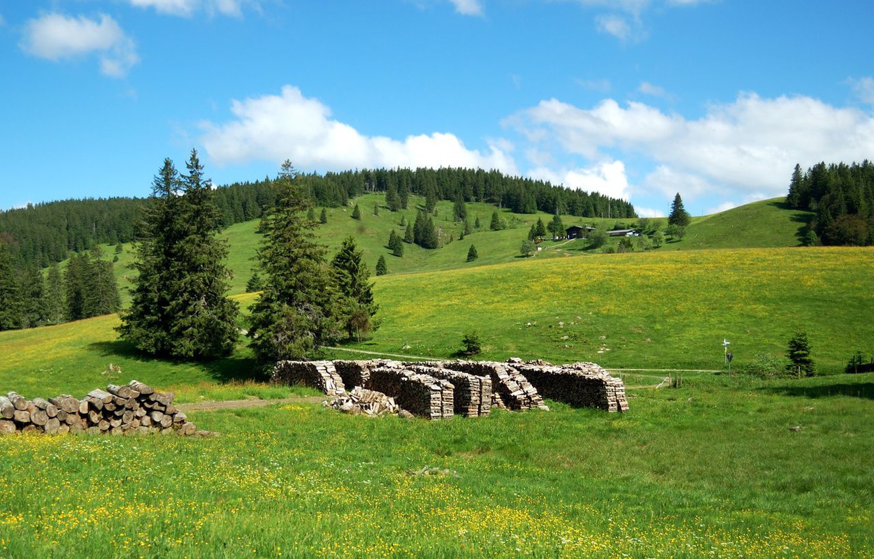 Inmitten von Weidfeldern liegt das Berggasthaus Krunkelbach (1.294 m). Beliebtes Ziel von Wanderern im Bernauer Hochtal. Foto: Heike Budig