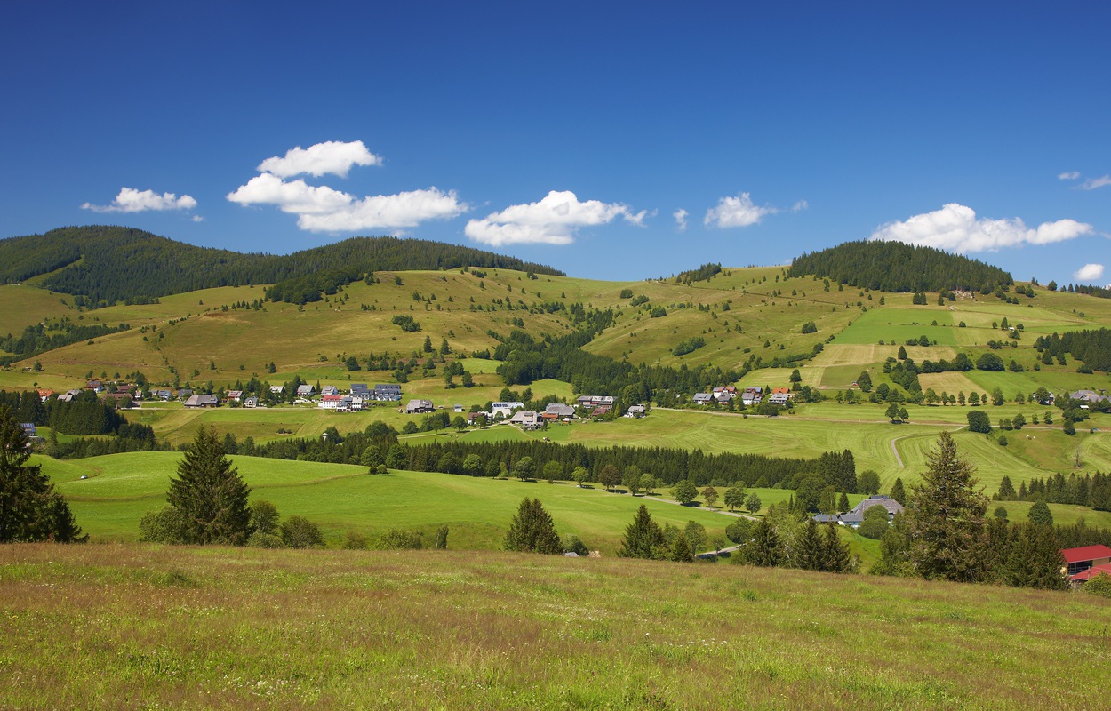 Blick auf den Kaiserberg von Bernau: Auf dem Bernauer Hochtal Steig wandert man ber diesen Bergkamm. Foto: Erich Spiegelhalter.