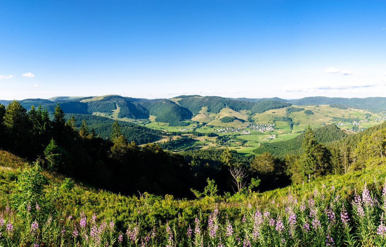 Panoramablick vom Blling auf das Bernauer Hochtal. Foto: Birgit-Cathrin Duval.