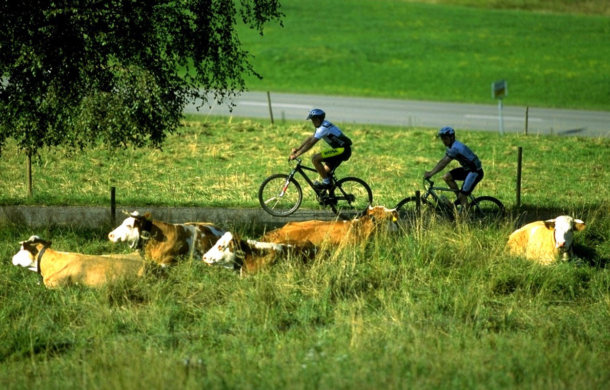 Mit dem Mountainbike durch das Bernauer Hochtal